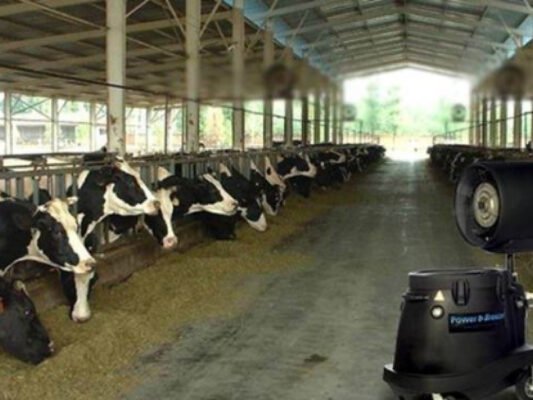 Dairy, Livestock and Agriculture