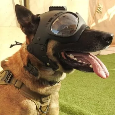 K9 TACTICAL DOG HELMET - Devastra Tactical Solutions